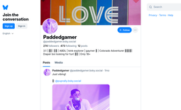 Paddedgamer