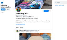 Little Pup Max